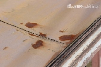 宝塚屋根葺替え現場調査9