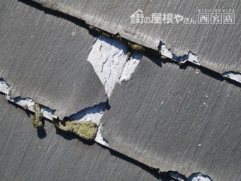 ニチハ