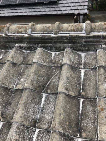 伊丹市雨漏り調査8