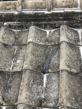 伊丹市雨漏り調査9