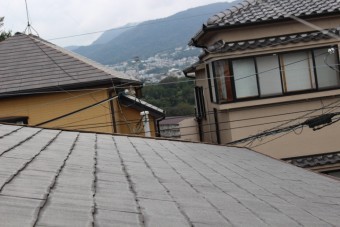 棟包み修理下見2