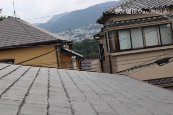 棟包み修理下見2