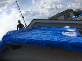 屋根養生固定