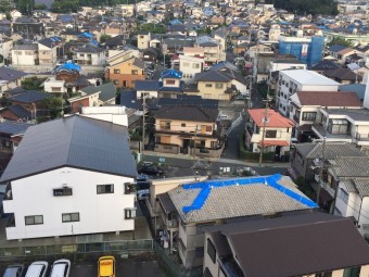 屋根ブルーシート