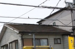 屋根カバー工事施工前