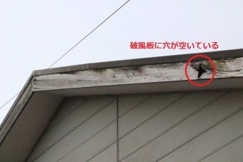 尼崎市O様邸3
