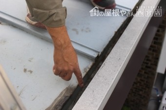 雨もり