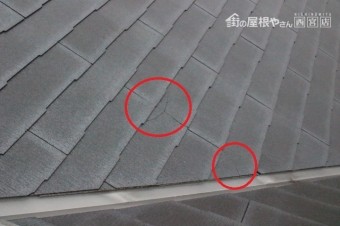 コロニアル割れ2