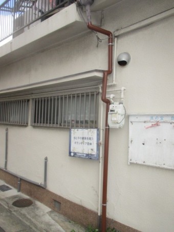 雨樋