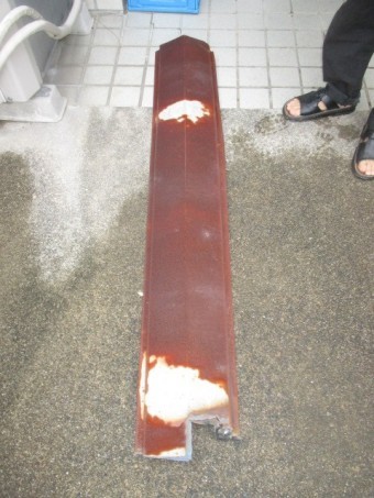 カラーベスト