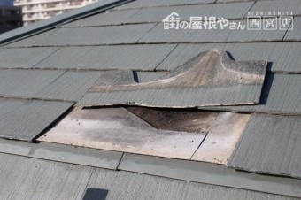 屋根のカビ