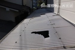 テラス屋根波板交換1