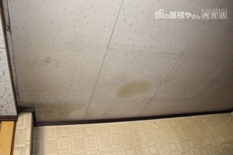 作業場屋根調査2