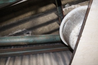 作業場屋根調査3
