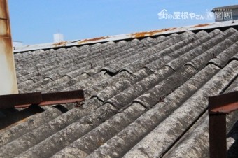 作業場屋根調査1