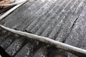 作業場屋根調査6