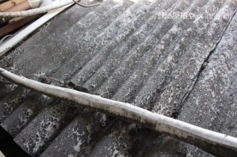 作業場屋根調査6