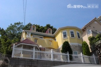 雨樋詰り1