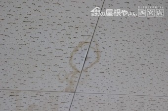 工場雨漏り2