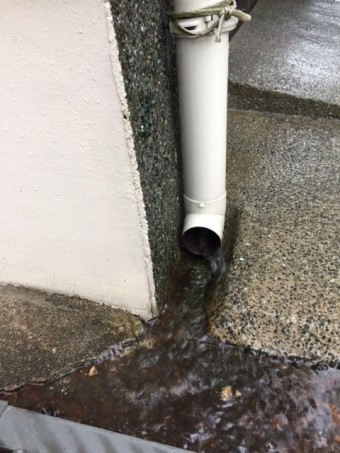縦トユ