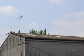 倉庫屋根カバー工事下見3