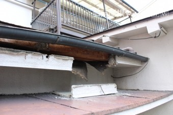 屋根軒天修理下見1