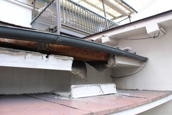 屋根軒天修理下見1