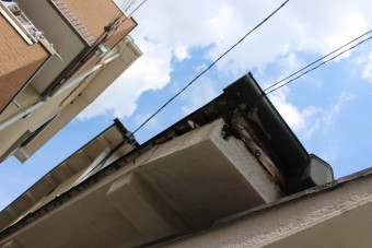 屋根軒天修理下見2