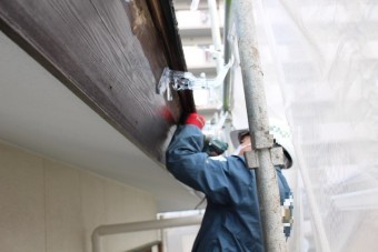 雨樋交換工事7