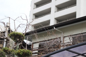 雨樋交換工事11