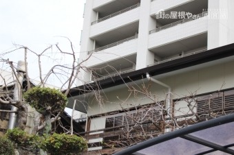 雨樋交換工事11