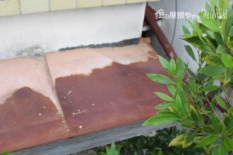 西宮市軒天修理現場調査8