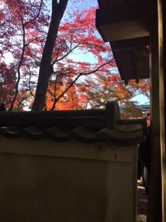 2018京都大原三千院瓦塀