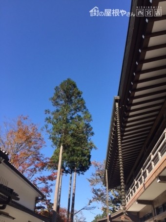 銅板の雨トユ