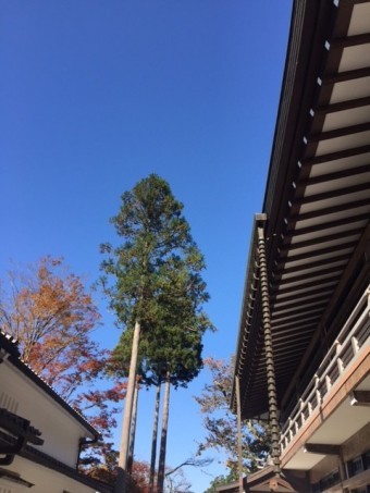 銅板の雨トユ