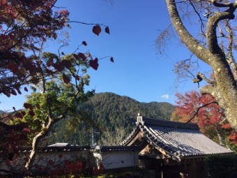 瓦 大原三千院2018秋
