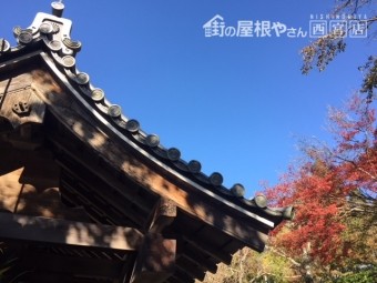 大原三千院 瓦 秋
