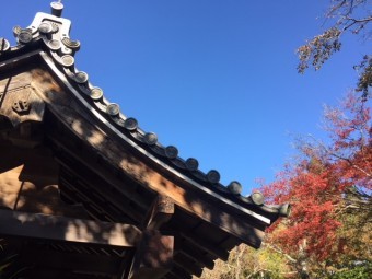 大原三千院 瓦 秋