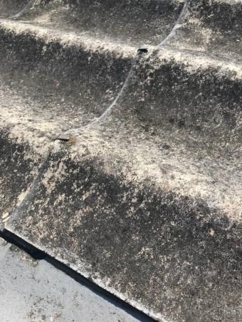 尼崎市倉庫屋根現場調査6