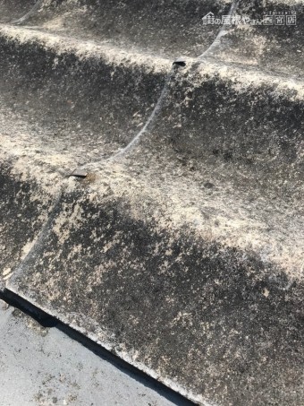 尼崎市倉庫屋根現場調査6