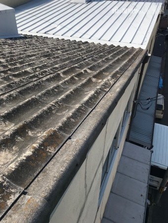 尼崎市倉庫屋根現場調査4