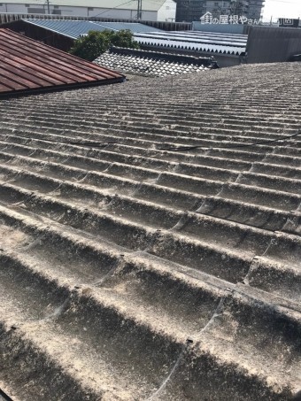 尼崎市倉庫屋根現場調査7