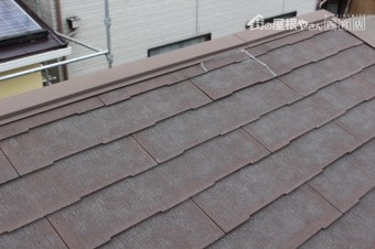 尼崎市雨漏り調査5