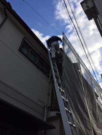 屋根に上がる