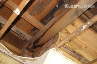 雨漏り