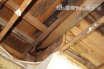 雨漏り