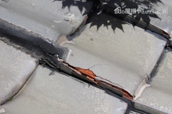 雨漏り軒天修理現場調査8