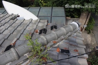 雨漏り軒天修理現場調査4