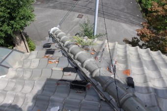 雨漏り軒天修理現場調査3