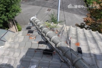 雨漏り軒天修理現場調査3
